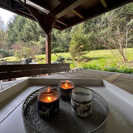Charming Villa On The Forest In Wald 12 Guests Hugh Garden Willingen Sauerland Brilon Dış mekan fotoğraf